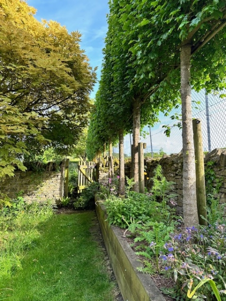 Kings Cottage